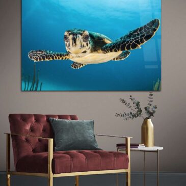 tortue de tableau de luxe