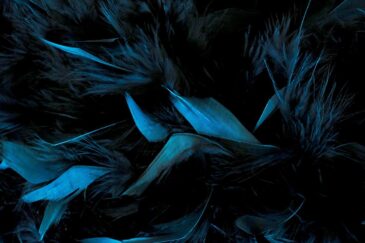 Plexiglass artwork feathers