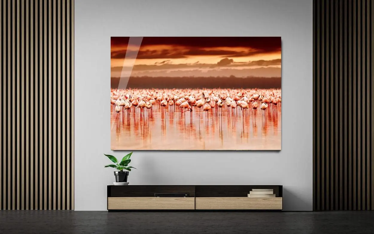 Flamingo Island