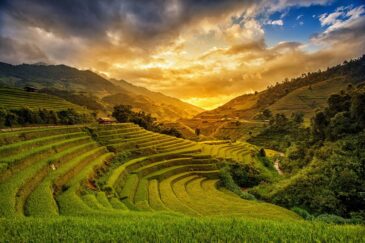 Fotokunst van Vietnam