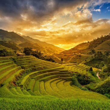 Fotokunst van Vietnam