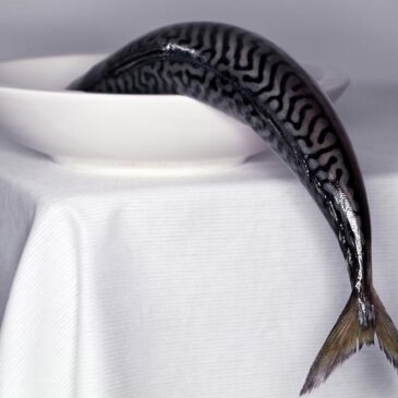Photo Art pour la cuisine de la pêche