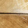 gold plated