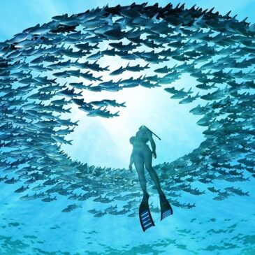 eye of the ocean