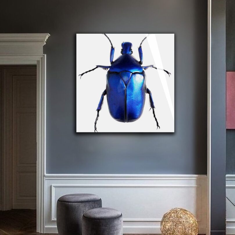 El escarabajo azul