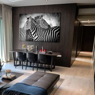 Photographie artistique élégante de zèbres en Afrique