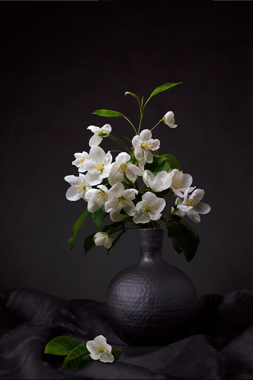 Akoestisch doek bloemen stilleven