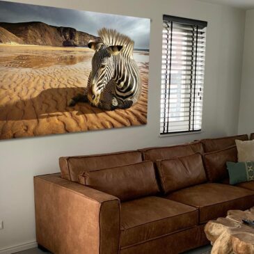 Luxe wall art van een zebra