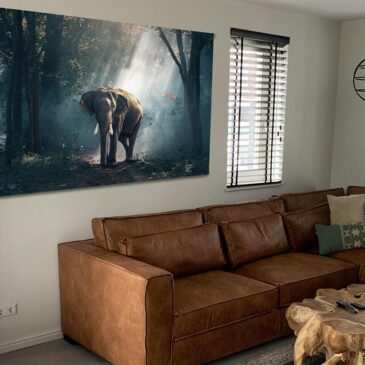 elephant-journey-mockup