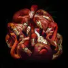 Wanddecoratie van flamingo