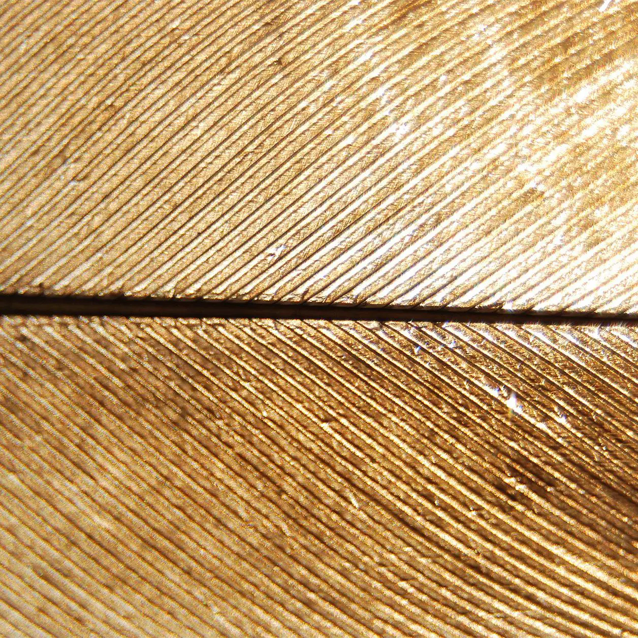 plaqué or - Image 2