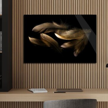 Artwork plexiglas feathers