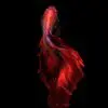 red darkness - Afbeelding 3