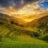 Fotokunst van Vietnam