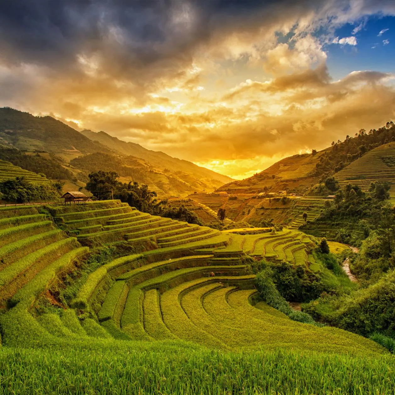 Fotokunst van Vietnam