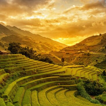 Fotokunst van Vietnam