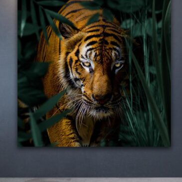 Unieke muurdecoratie van tijger in de jungle