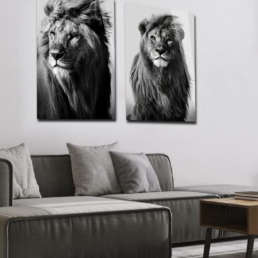 Fotografía en blanco y negro de un león en el desierto