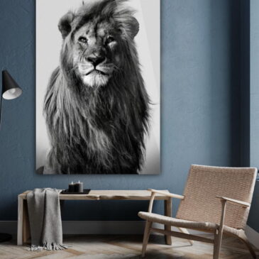 Fotografía artística en blanco y negro de animales que muestra un león majestuoso