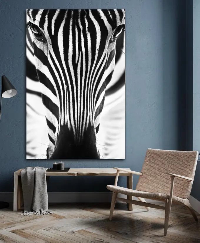 Schwarz weiße Kunstfotografie Zebra mit bezaubernden Augen