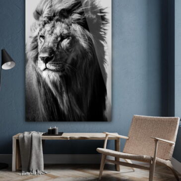 Schwarz-Weiß-Foto eines Löwen in der Wildnis