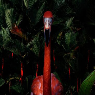 Sfeervol schilderij van flamingo