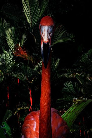 Sfeervol schilderij van flamingo
