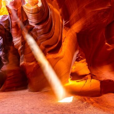 Wall decoration of nature