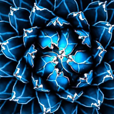 Muurkunst van agave cactus