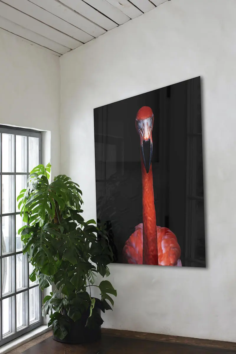 Pintura atmosférica de Flamingo