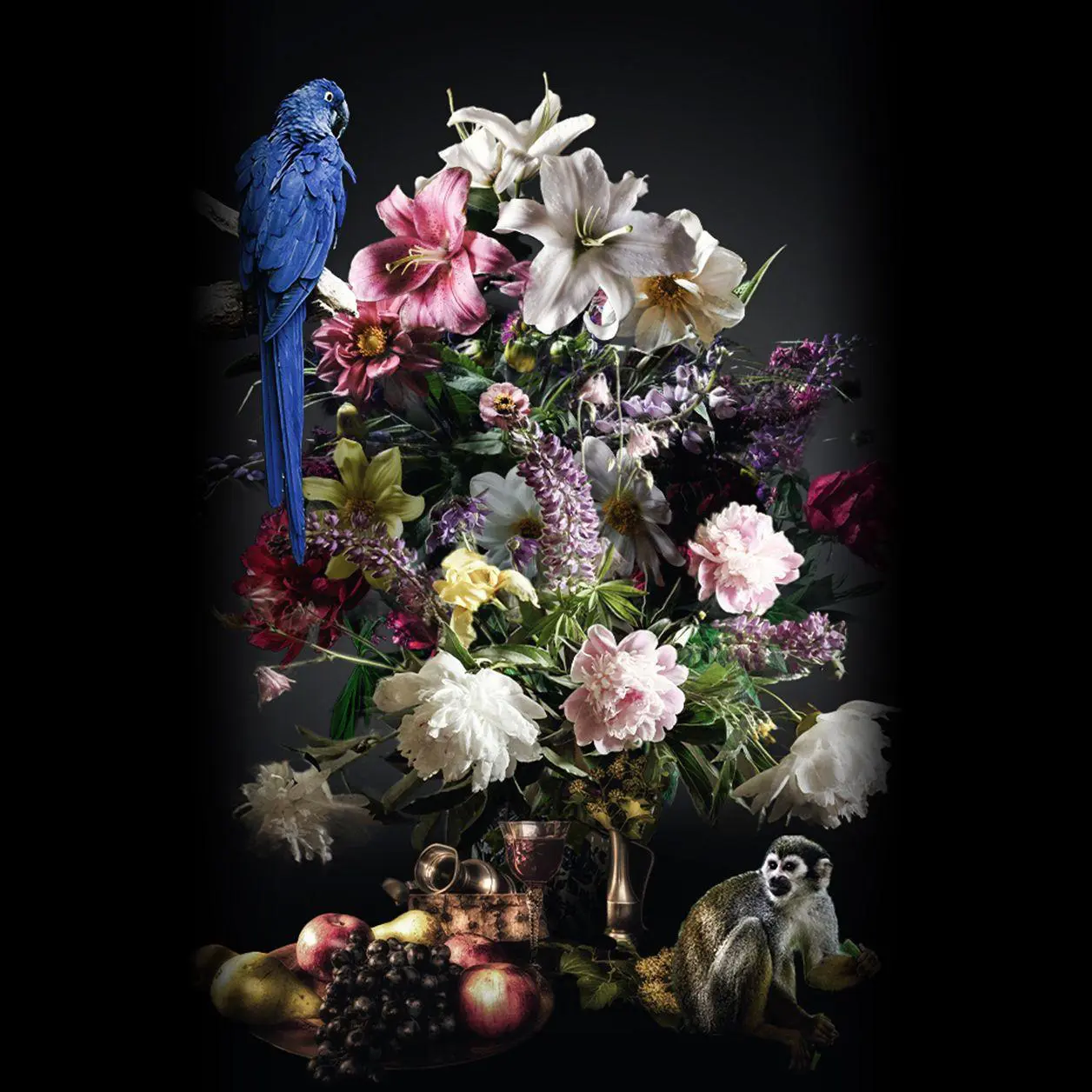 la collection de natures mortes III - Image 3