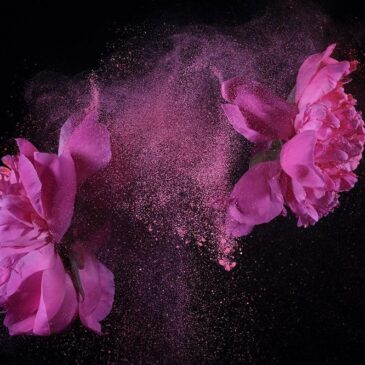 Plexiglasmalerei von Blumen: Blumenkraft II