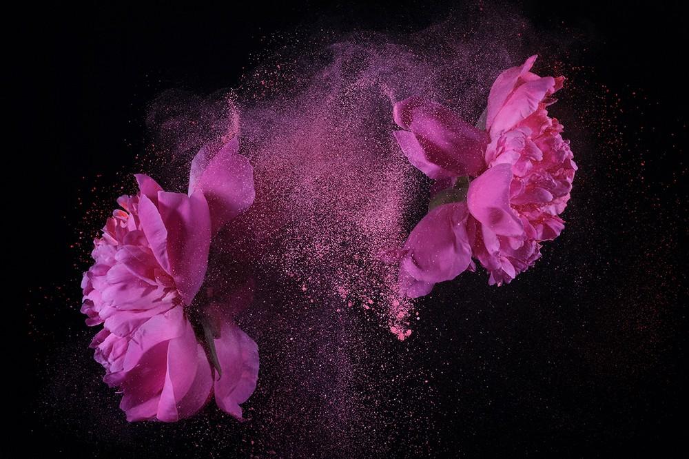 Plexiglas Pintura de flores: Flower Power II