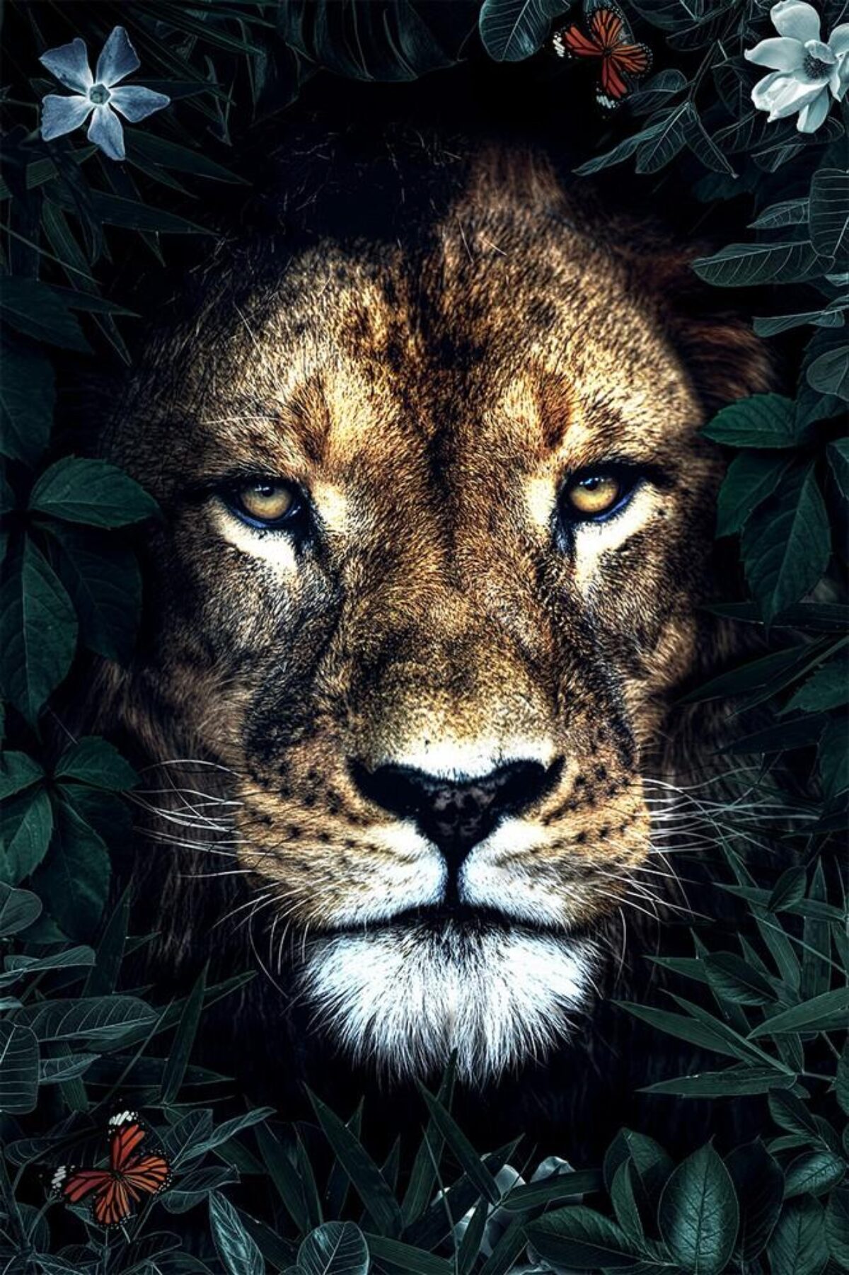Plexiglass painting Lion King The Art of Interior