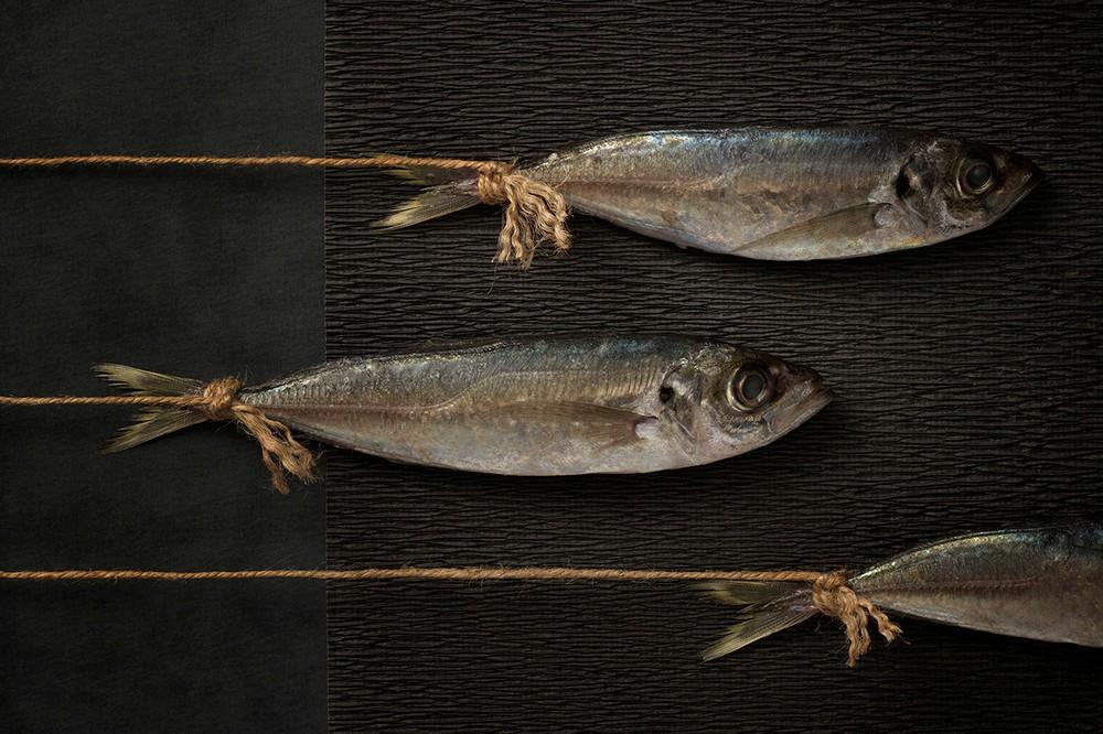 Fotografía de alimentos de Vissen