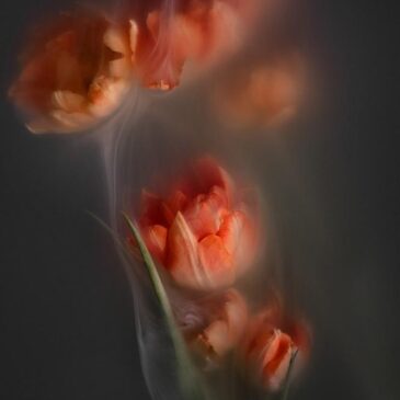 Nature morte florale