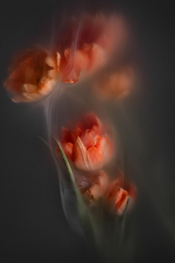 Bodegón floral