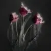 Wall art van flowers: roze tulpen