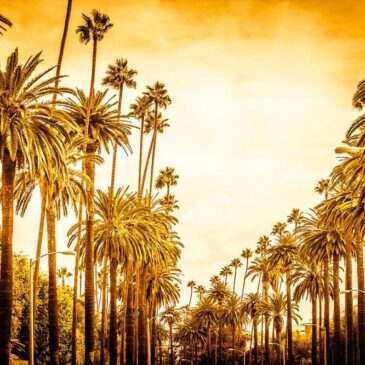 Photo Art of Palm Springs