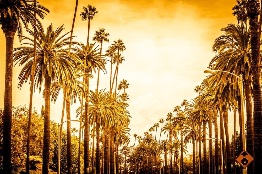Fotokunst van Palm Springs