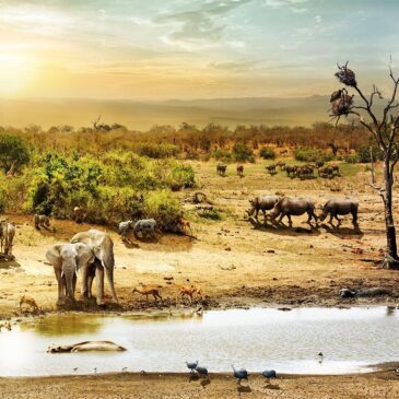 Arte de pared de la sabana africana con animales salvajes