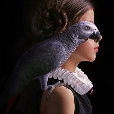 Portrait baroque d'une jeune fille avec un perroquet