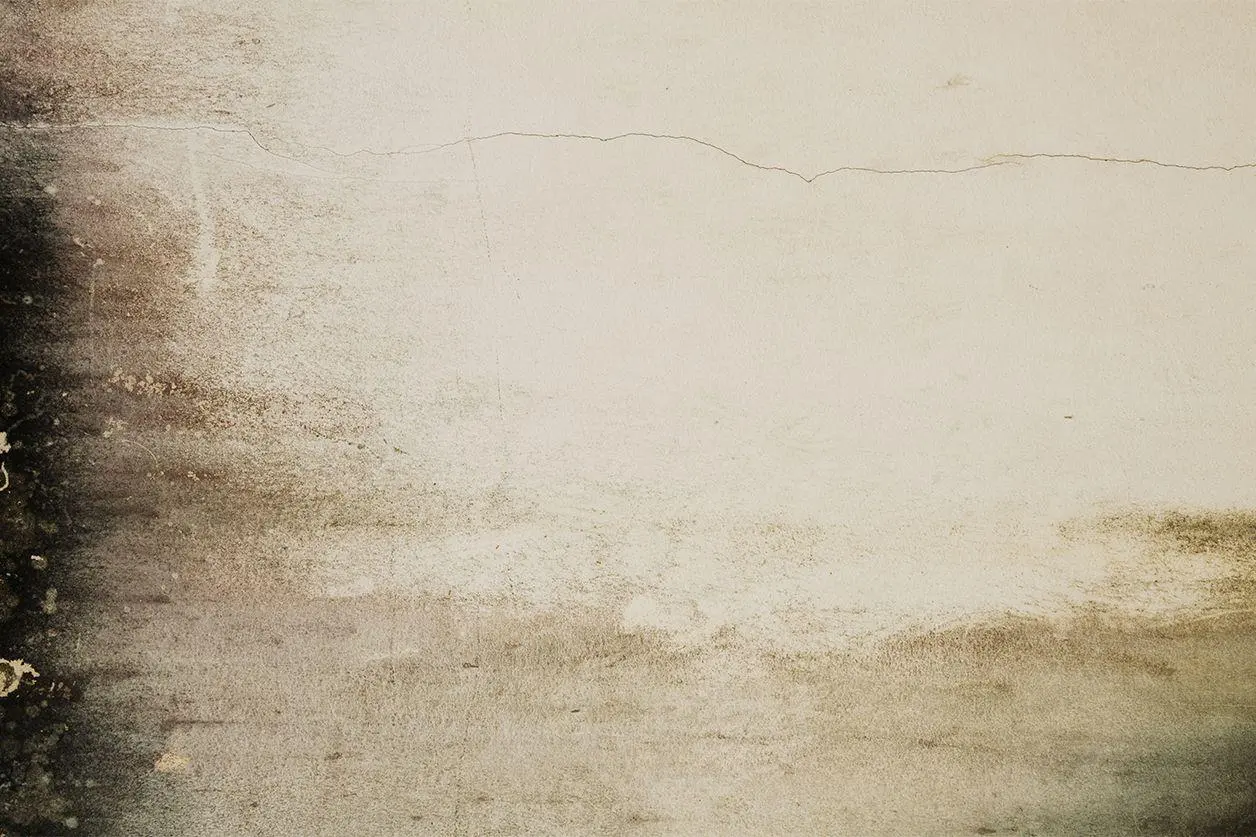 mur vintage - Image 3