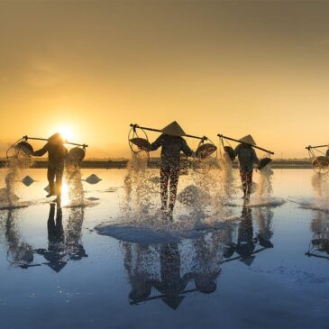 Muurkunst van Vietnam