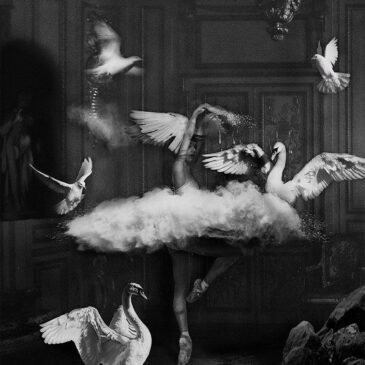 Artistiek zwart wit artwork the ballerina, plexiglas