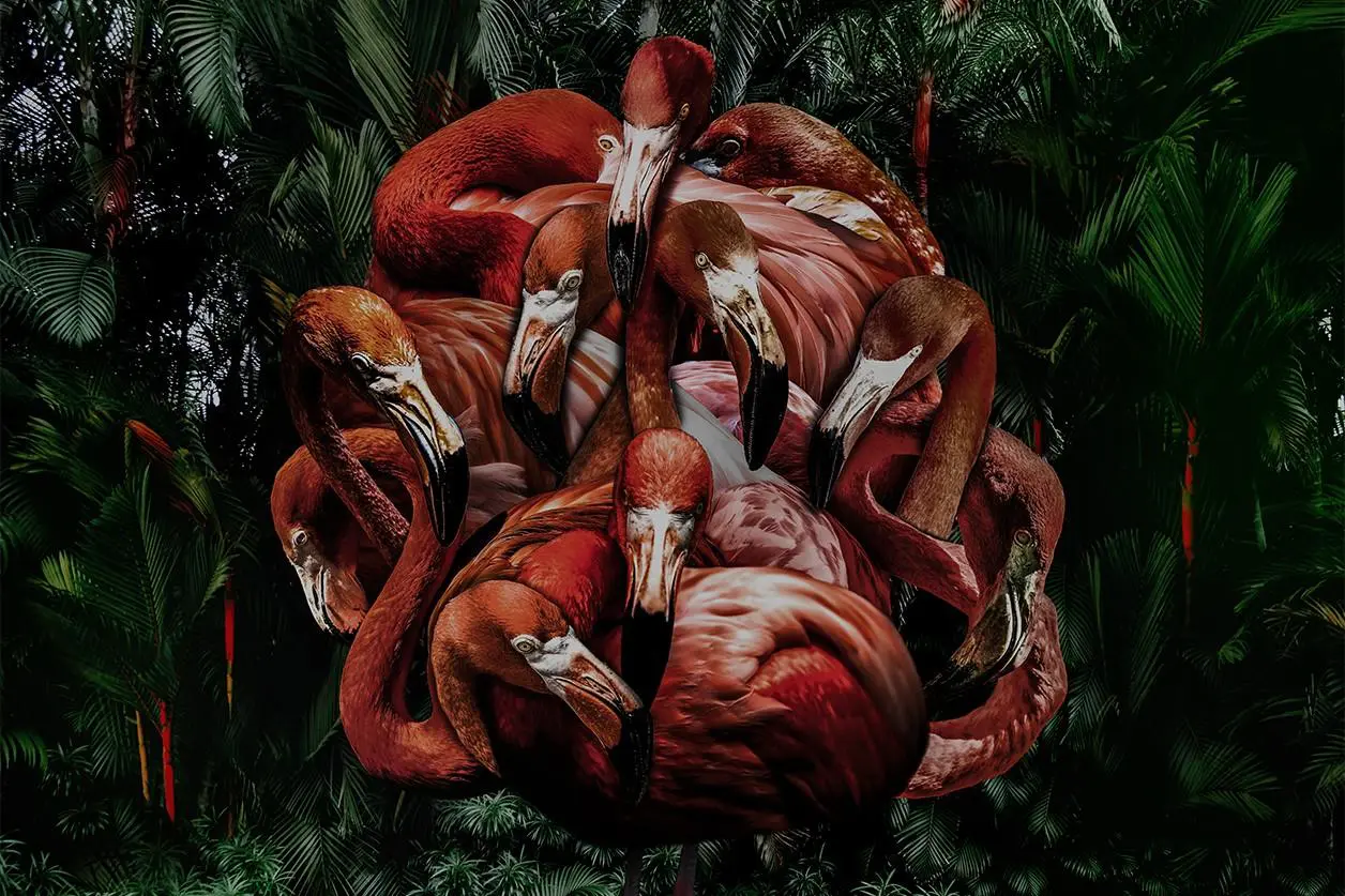 Wall decoration of Flamingo Art