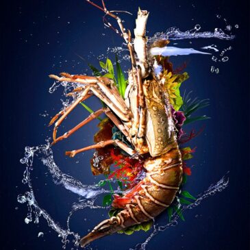 Langosta de arte Sealife