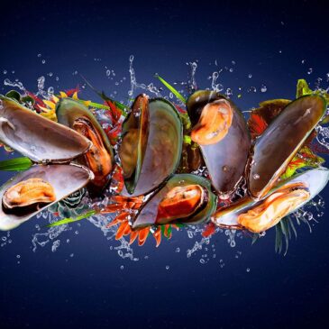 Arte mural de mejillones de vida marina