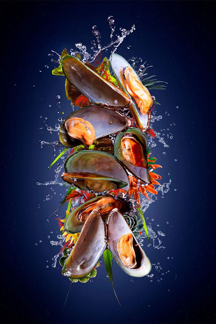 Plexiglas-Kunstwerk Wunder des Meeres II
