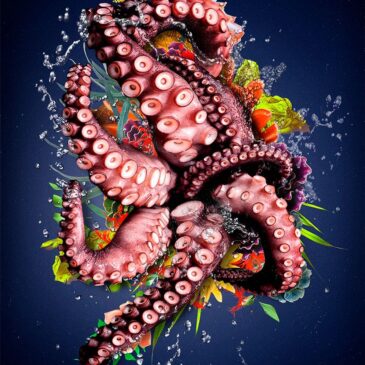 Sealife fotokunst octopus